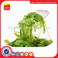 Frozen Seasoned Seaweed Salad Horeca Hiyashi Wakame Chuka Goma Wakame stem salad